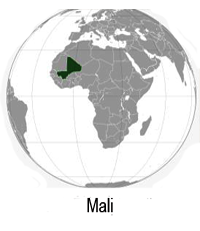 a6 mali